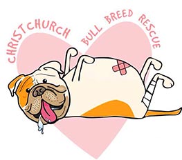 Christchurch Bull Breed Rescue