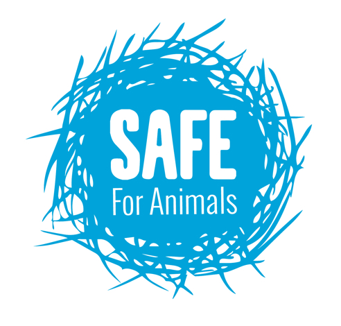 SAFE