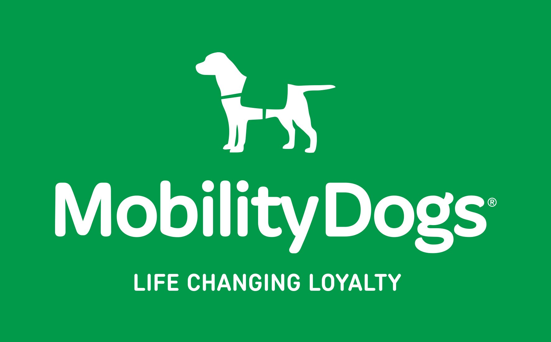 Mobility Dogs